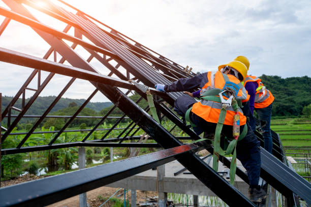 Best Roof Gutter Cleaning  in Sheridan, IL