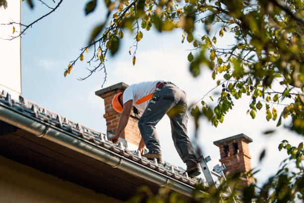 Quick and Trustworthy Emergency Roof Repair Services in Sheridan, IL