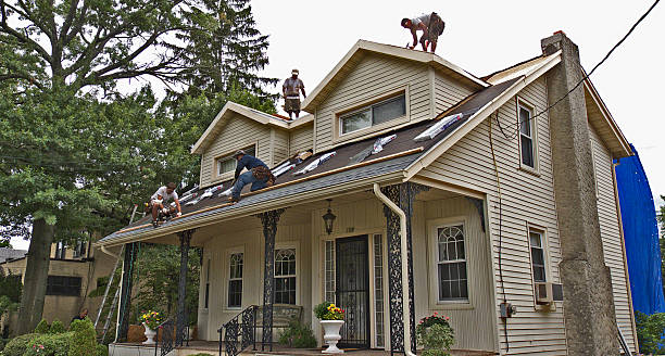 Best Residential Roofing Contractor  in Sheridan, IL